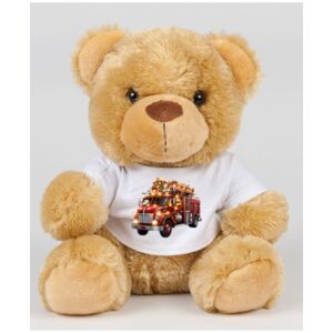 Mumbles Bear in a T-Shirt Thumbnail