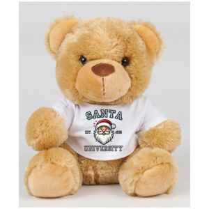 Mumbles Bear in a T-Shirt Thumbnail