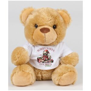 Mumbles Bear in a T-Shirt Thumbnail