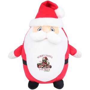 Mumbles Zippie Father Christmas Thumbnail